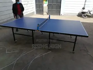 Great Awesome Table Tennis.