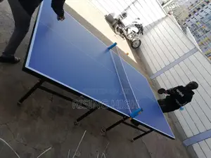 Prestigious Super Unique Table Tennis
