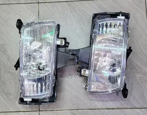 Fielder/Nze 2005-06 Foglight Pair