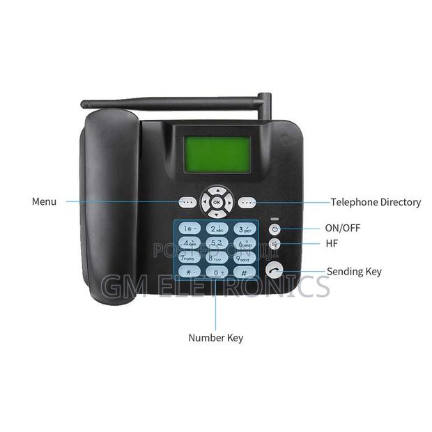 GSM Landline Fixed Wireless Phone FWP Sim Card F317[Black]