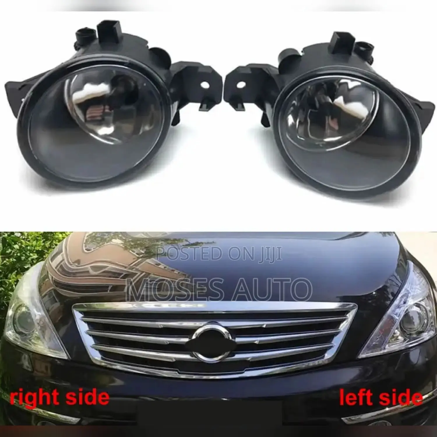 Nissan Sylphy Bluebird Foglights/Fog Lights