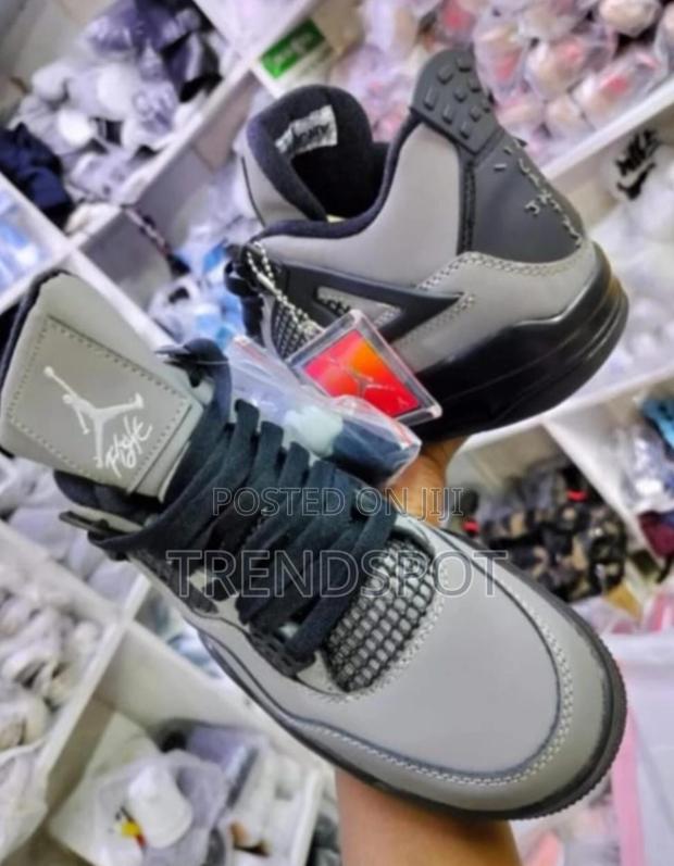 Gray Jordan 4 - main view