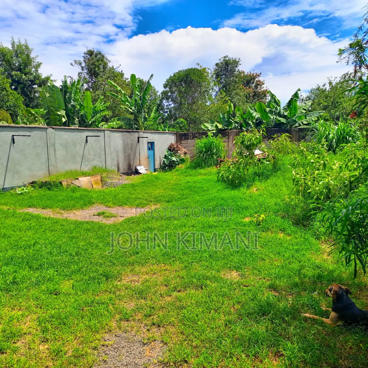 50 by 100 Plot at Utawala Astrol Area