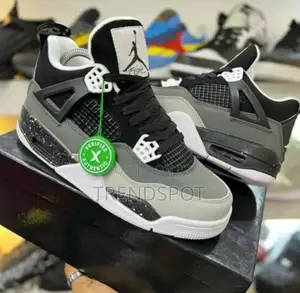 Jordan 4 Thunder Grey