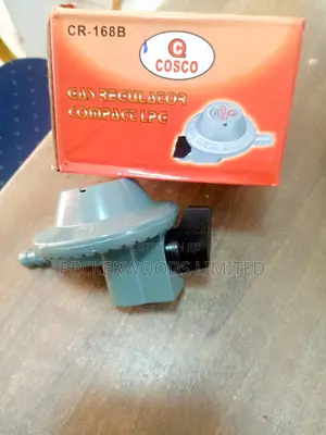 High Quality Gas Regulator