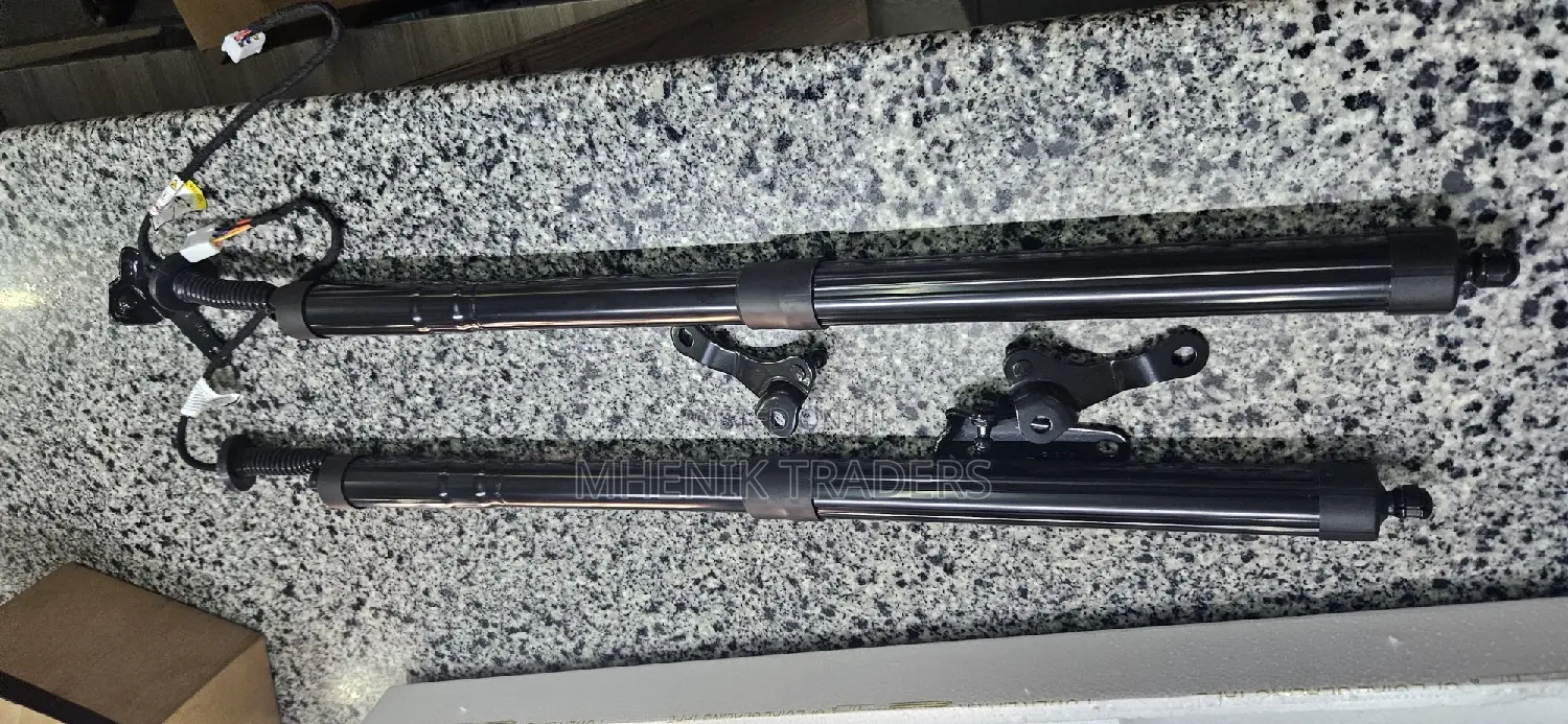 Rx 350/Rx 450 Electric Boot Shocks