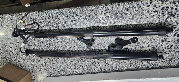 Rx 350/Rx 450 Electric Boot Shocks