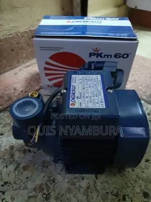 Pedrollo Pump 0.5hp Water Pump Pedrollo Pkm60