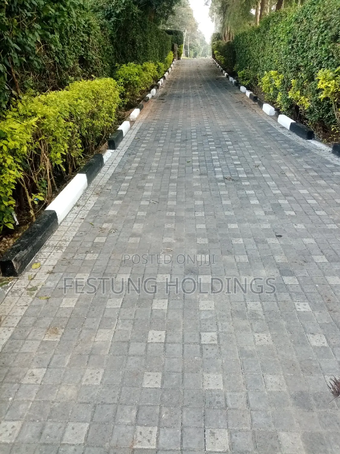 Cabros Pattern Laying