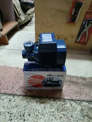 Pedrollo Water Pump