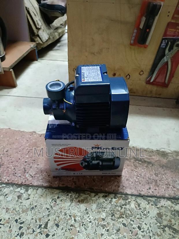 Pedrollo Water Pump - main view