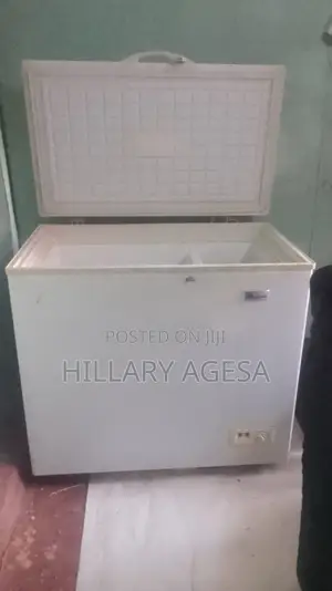 Quick Sale Freezer