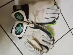 Cricket Set of Pads ,Guards and Gloves .