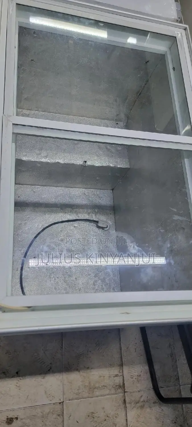 300L Display Freezer