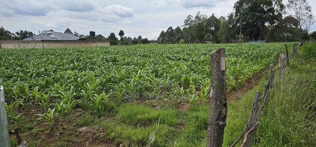 Prime Plots for Sake in Outspan Eldoret - thumbnail 3