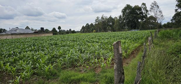 Prime Plots for Sake in Outspan Eldoret - thumbnail 4