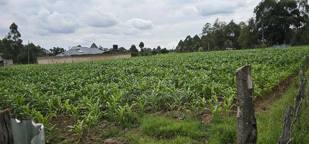 Prime Plots for Sake in Outspan Eldoret - thumbnail 7