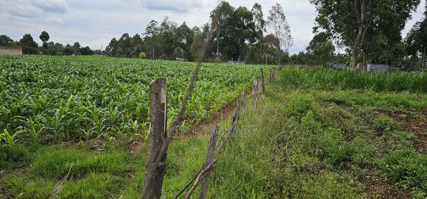 Prime Plots for Sake in Outspan Eldoret - thumbnail 8