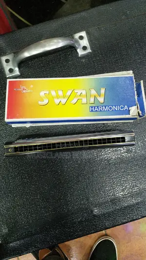 Harmonica Double Sided
