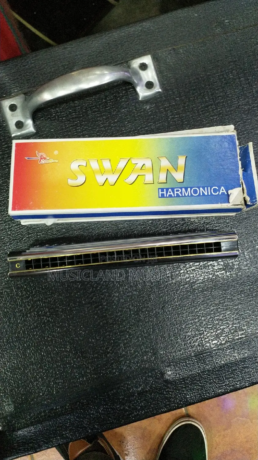 Harmonica Double Sided