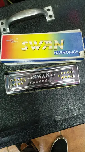 Harmonica Double Sided