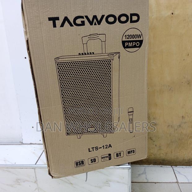 12 Inch TAGWOOD Outdoor Speaker, Bluetooth, Microphone