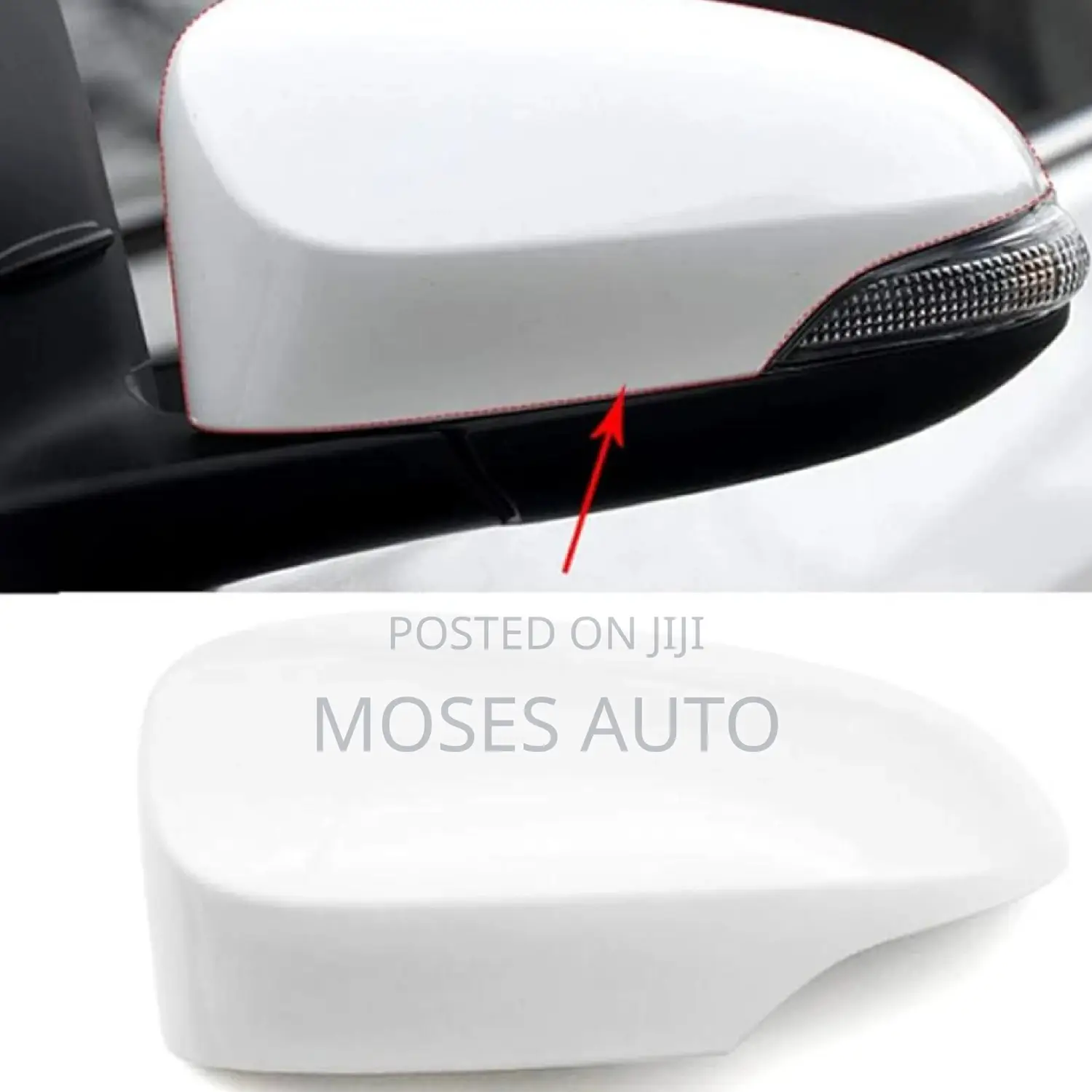 Axio 2012-2018 Side Mirror Cover