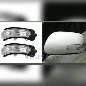 Axio 2006-2010 Side Mirror Indicator Light