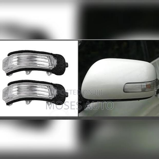 Axio 2006-2010 Side Mirror Indicator Light