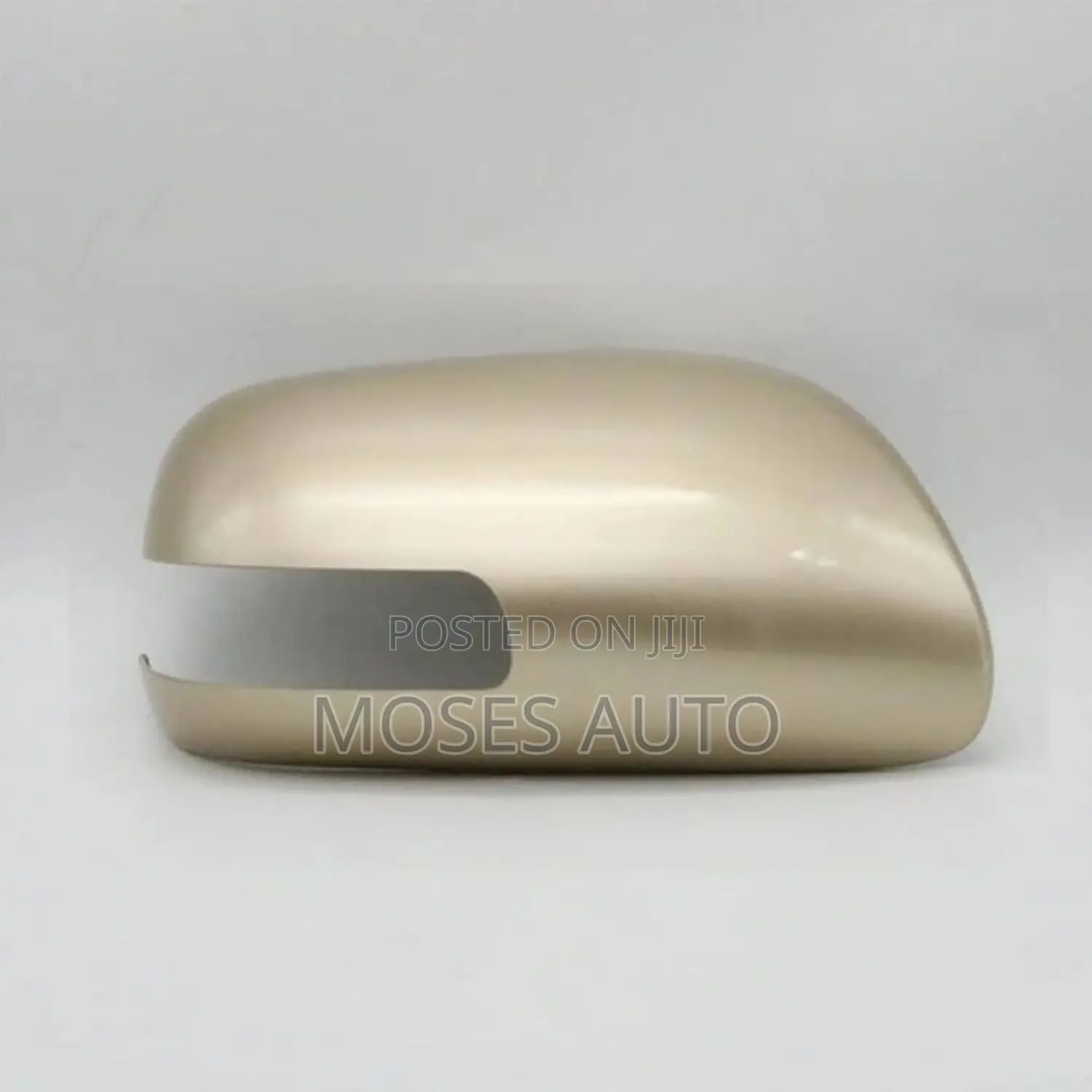 Axio 2006-2010 Side Mirror Cover