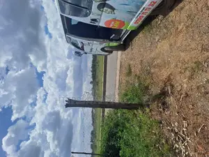 1/8th Acre Plots Near Katani Town Ww^