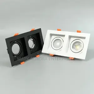 Double Downlighters/2in 1 Downlighters