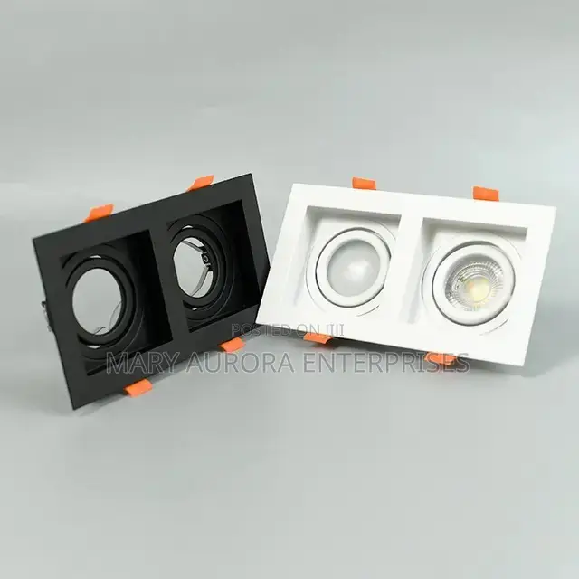 Double Downlighters/2in 1 Downlighters