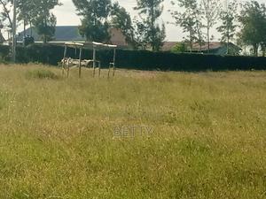 Rwai Quarter Acre for Sale - thumbnail 2