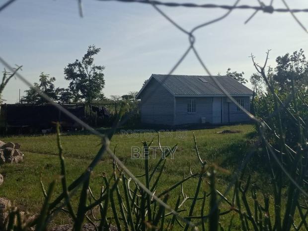 Rwai Quarter Acre for Sale - thumbnail 4