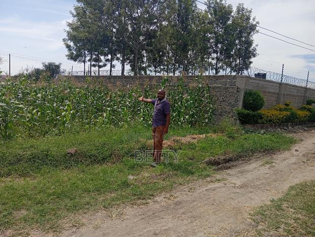 Rwai Quarter Acre for Sale - thumbnail 6