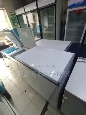 Ramtons Deep Freezer 250L