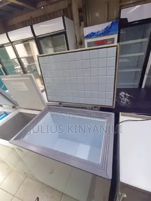 Ramtons Deep Freezer 250L