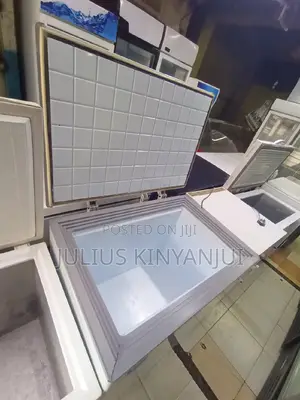 Ramtons Deep Freezer 250L
