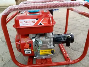 Wind-Sor Poker-Vibrator