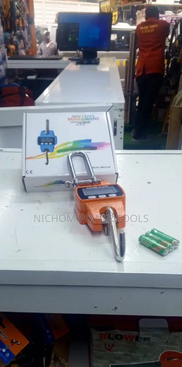 Most Accurate 300kg Mini Crane Scale