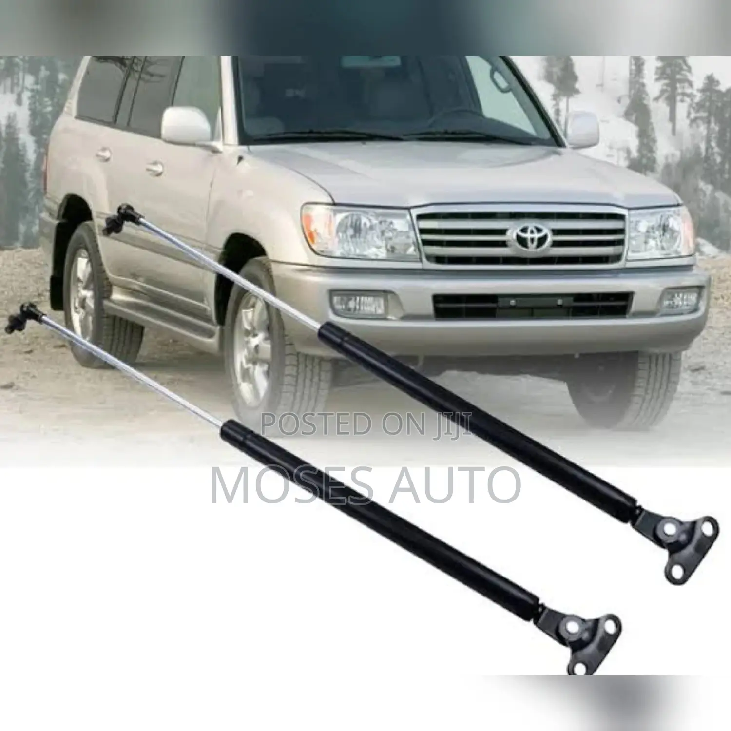 Land Cruiser Fj100 Series Bonnet Shocks