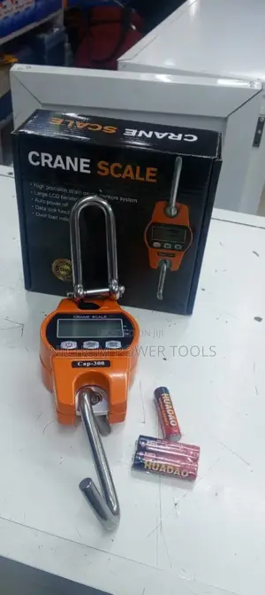 High Quality 300kg Crane Scale