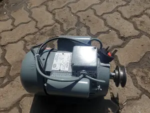 STCL Italy 1.5hp Single Phase Low Speed Motor