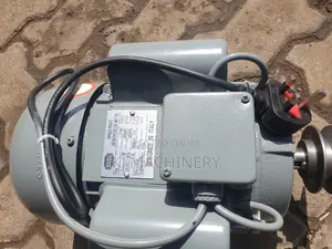 STCL Italy 1.5hp Single Phase Low Speed Motor
