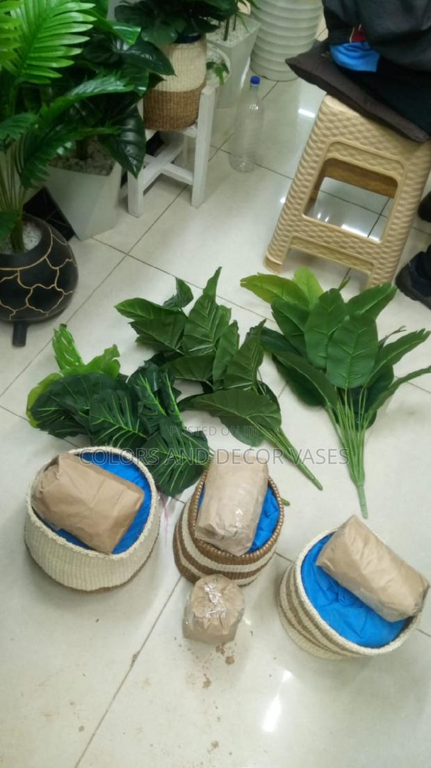 Plants,Baskets and Pebbles Stones - main view