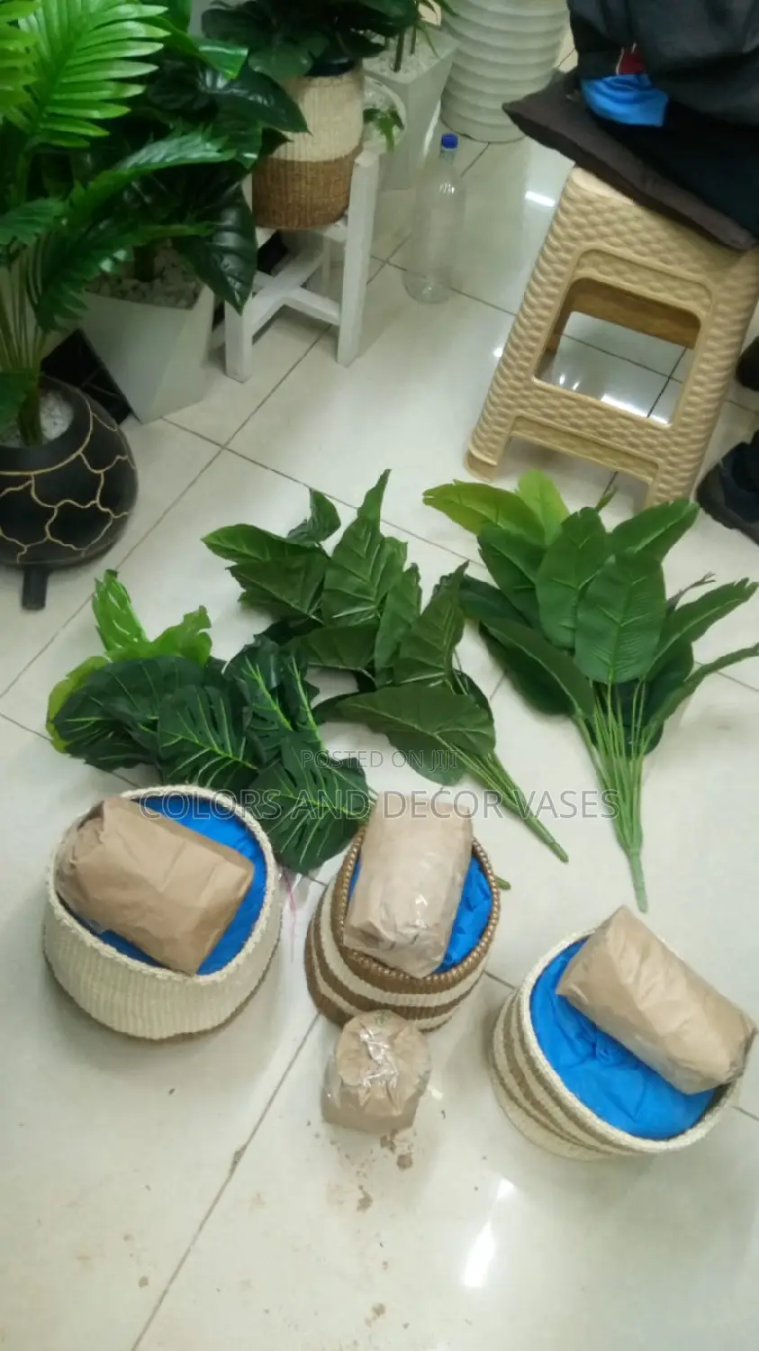 Plants,Baskets and Pebbles Stones