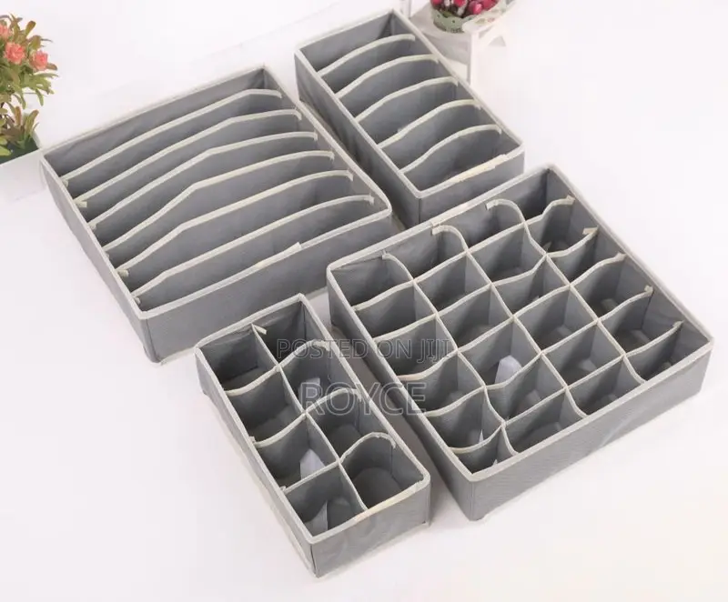 4pcs Undergarments Organizers