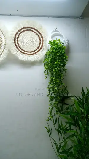 Vines and Vase Offer Price KSH 2000