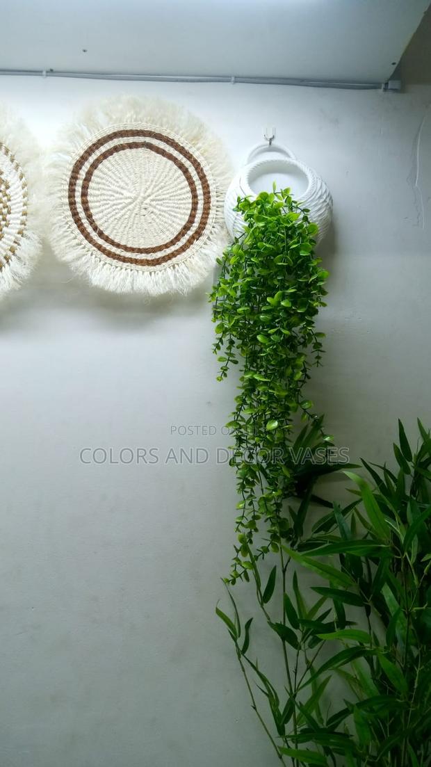 Vines and Vase Offer Price KSH 2000